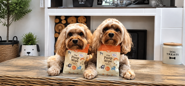 Nilaqua Pets Launches Two New Innovative, Waterless Dog Grooming Products at Crufts