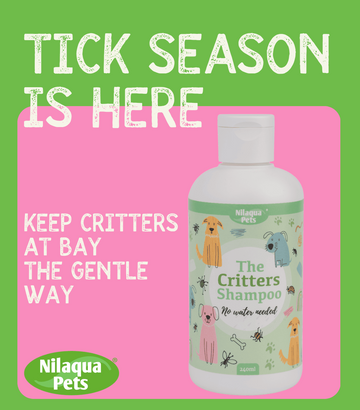 The Hidden Environmental Cost of Flea & Tick Treatments