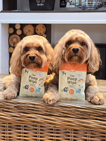 Nilaqua Pets Launches Two New Innovative, Waterless Dog Grooming Products at Crufts