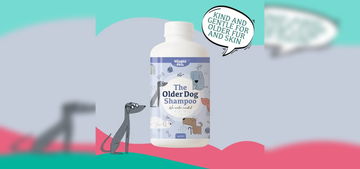 Product Highlight – The Older Dog Shampoo