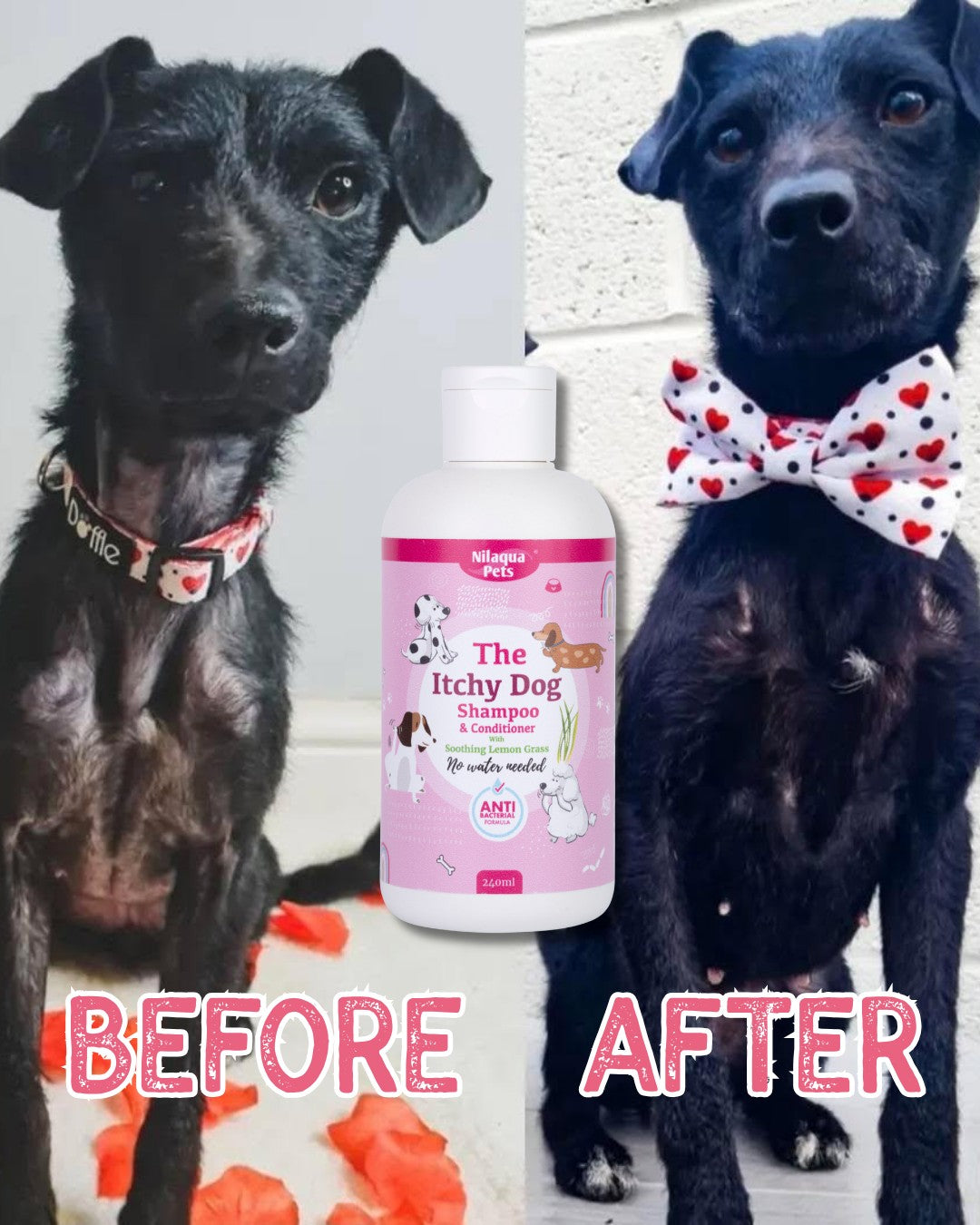 The Itchy Dog Shampoo & Conditioner 240ml