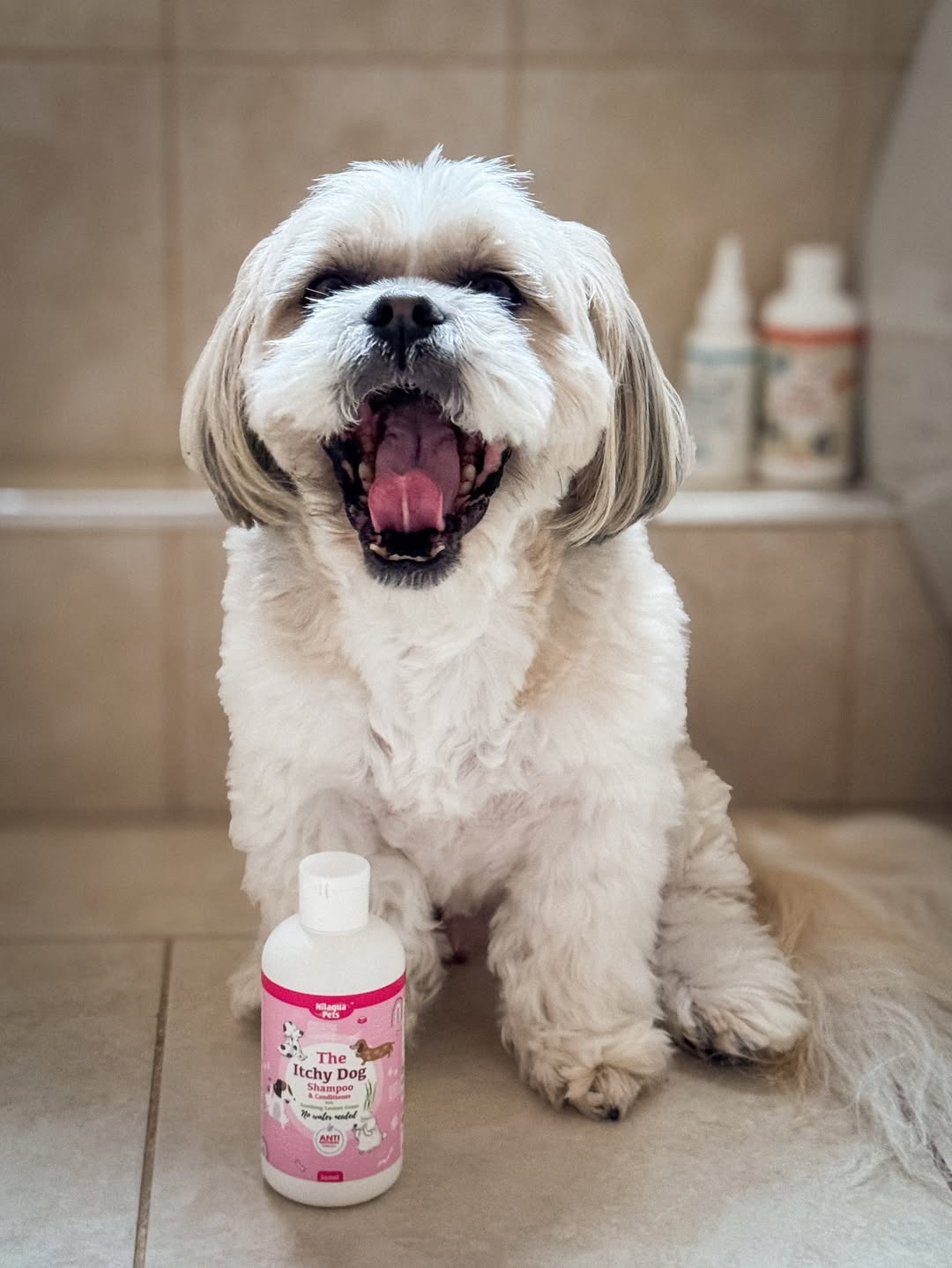 The Itchy Dog Shampoo & Conditioner 500ml