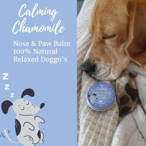 Calming Nose & Paw Balm with Chamomile & Shea Butter 30ml